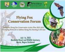 CSU Faculty-Researchers Collaborate with Flying Fox Conservation in Southeast Asia