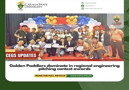 Golden Paddlers dominate in regional engineering pitching contest awards